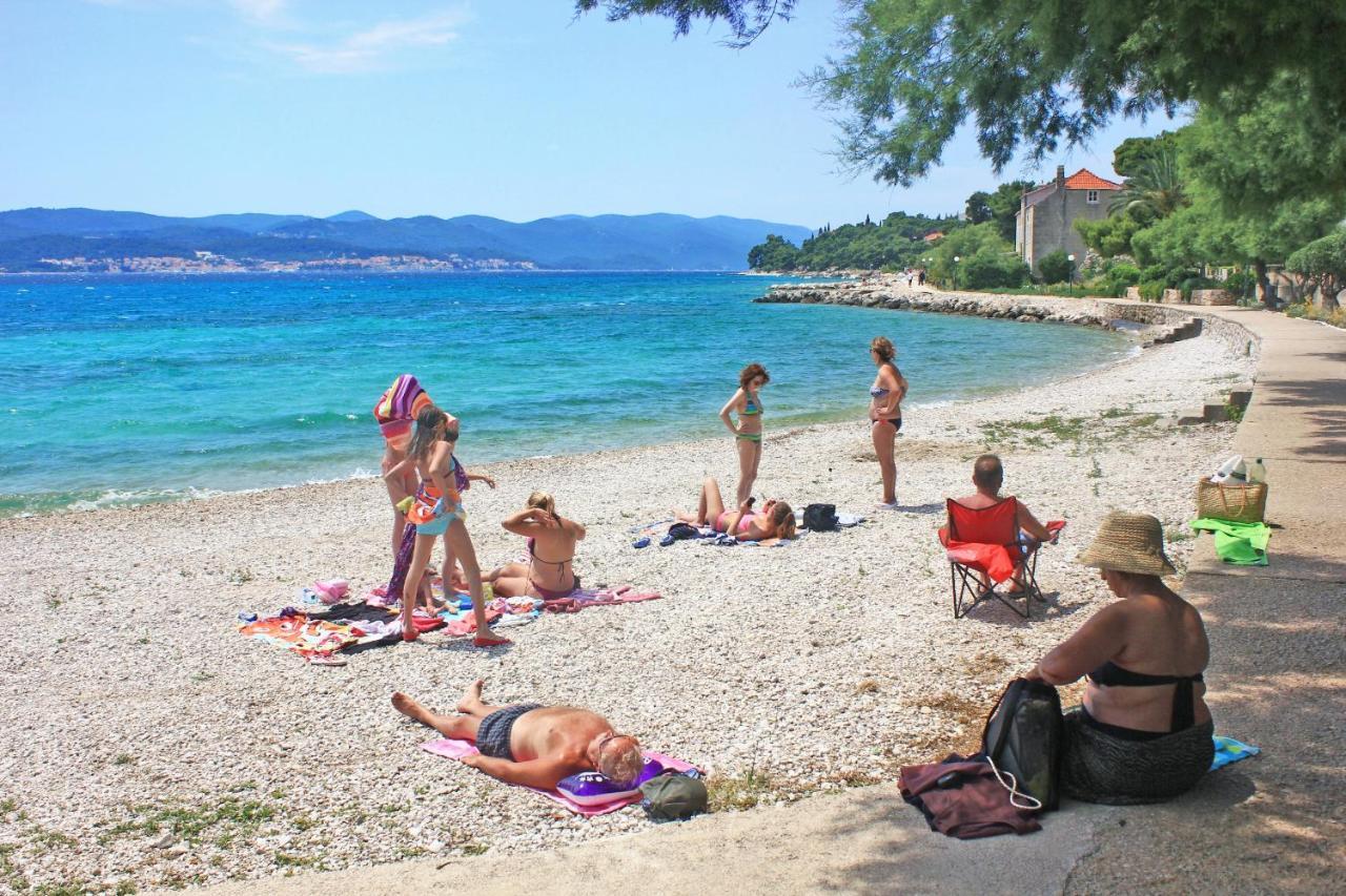 Apartments And Rooms With Parking Space Orebic, Peljesac - 10191 Eksteriør bilde